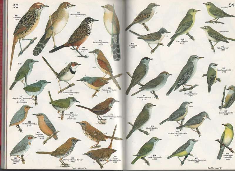 ROBERTS' BIRDS OF SOUTHERN AFRICA - JOHN VOELCKER BIRD BOOK FUND - GORDON LINDSAY MACLEAN (6TH/1993)