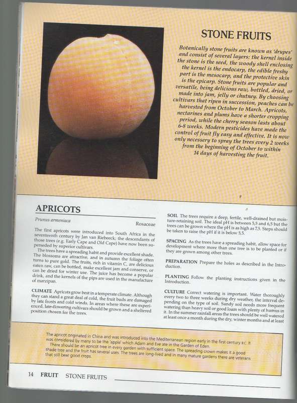 DOWN-TO-EARTH FRUIT & VEGETABLE GARDENING IN SOUTH AFRICA - ZOE GILBERT & JACK HADFIELD (1987)
