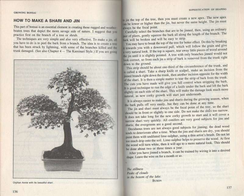BONSAI IN SOUTH AFRICA - DOUG HALL (1988)