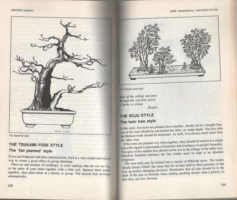 BONSAI IN SOUTH AFRICA - DOUG HALL (1988)