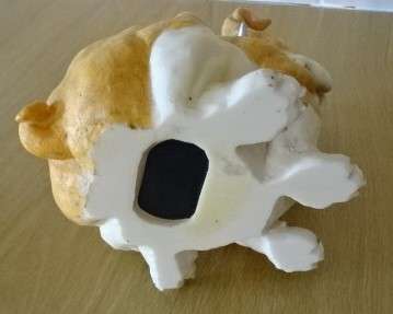 BEAUTIFUL  FUN BULLDOG RESIN MONEY BOX (HEIGHT 15 CM X WIDTH 12 CM)