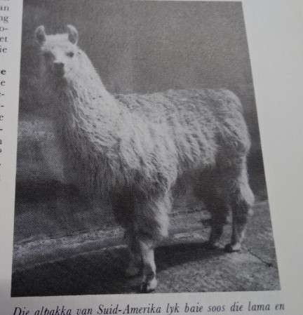 VOLLEDIGE STEL VAN 12 HARDEBANDBOEKE: NUWE AFRIKAANSE KINDERENSIKLOPEDIE