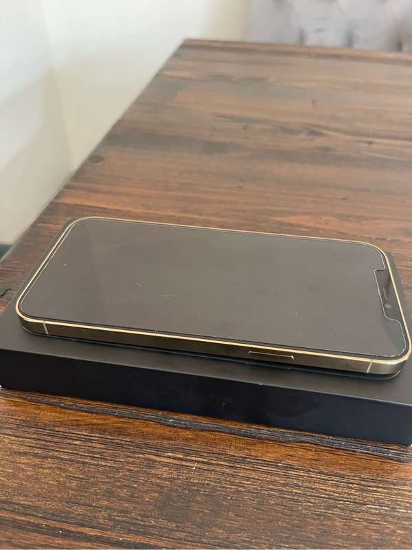 iPhone 12 Pro Max
