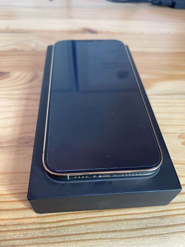 iPhone 12 Pro Max
