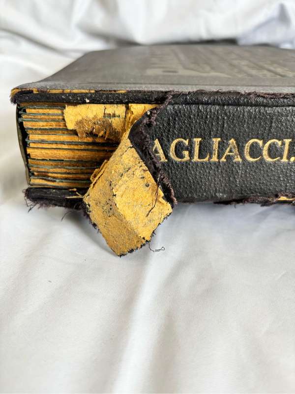 Opera in English Rare 1st Recording 1927 Pagliacci Durable Case