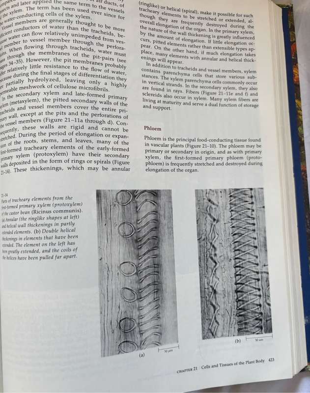 Biology of Plants 3rd Edition Peter H Raven, Ray F Evert