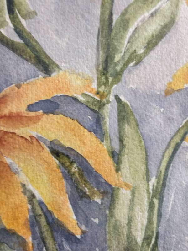 Painting by Molly Webster Yellow Sunflowers Watercolour 61cm x 42cm with Frame