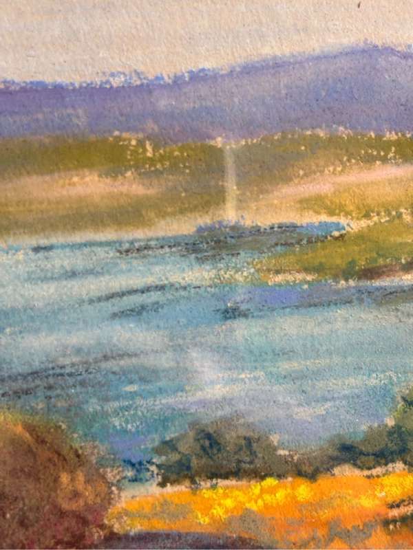 Painting by Lois Shield Spring Flowers in Pastel 32cm x 41cm with Frame