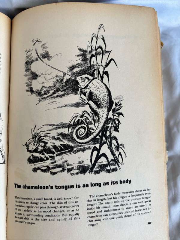 Incredible but True! Kevin McFarland 1978