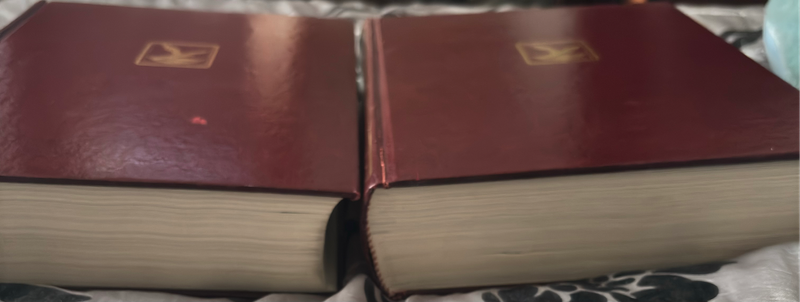 The Oxford Illustrated Dictionary 1st Edition Italy Volume 1&2