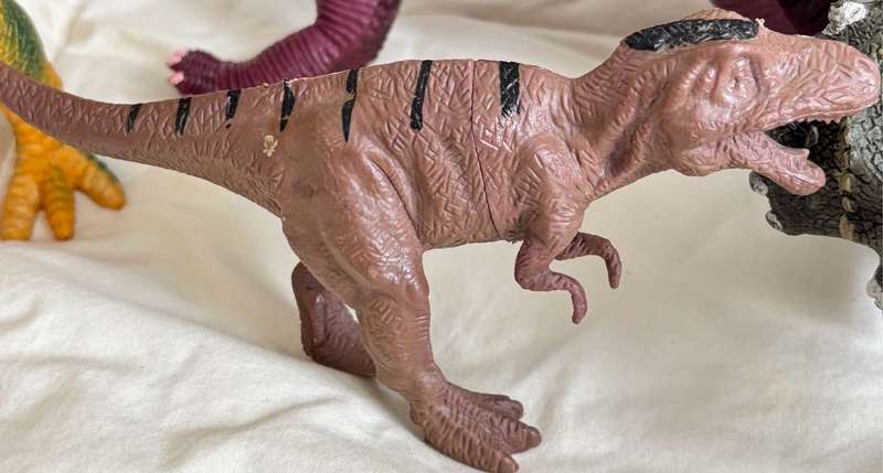 Dinosaurs x 4 Brontosaurus 42cm x 15cm, Tyrennosaurus Tex two, Triceratops
