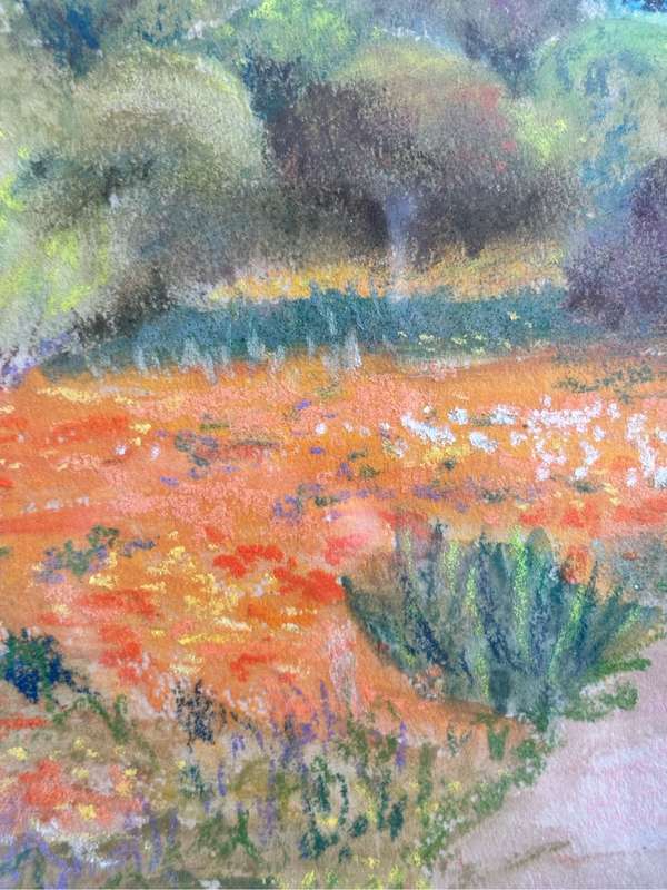 Painting by Lois Shield Spring Flowers in Pastel 32cm x 41cm with Frame