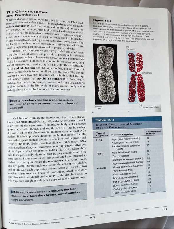 Biology 5th Edition Sylvia S Mader