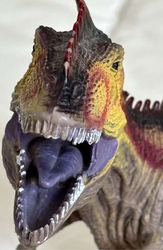 Dinosaurs Figures Stegosaurus 29cm x 13cm, Gigantosaurus 30cm x 14cm, Triceratops & Brontosaurus