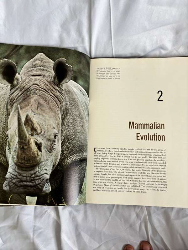 The Mammals Life Nature Library 1965 Vintage Book