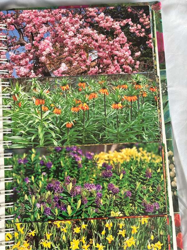 The Garden Planner Over 1 Million Ways to Mix and Match Perfect Beds and Borders by John Walker