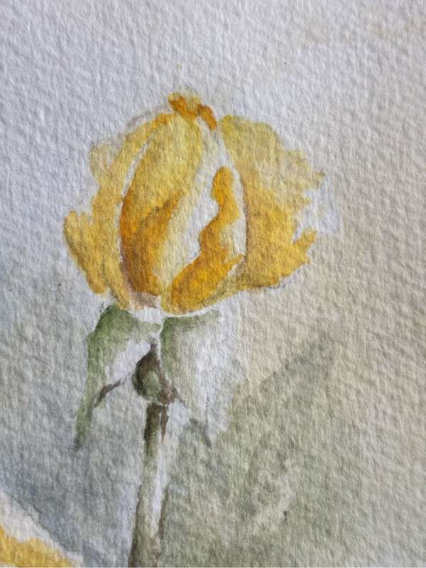 Painting Ann Viljoen Yellow Roses watercolour 53cm x 43cm with Frame