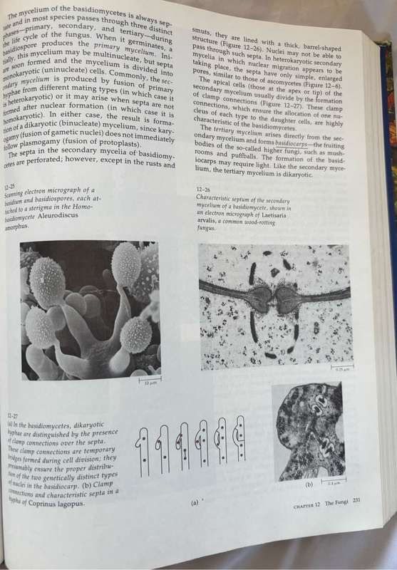 Biology of Plants 3rd Edition Peter H Raven, Ray F Evert