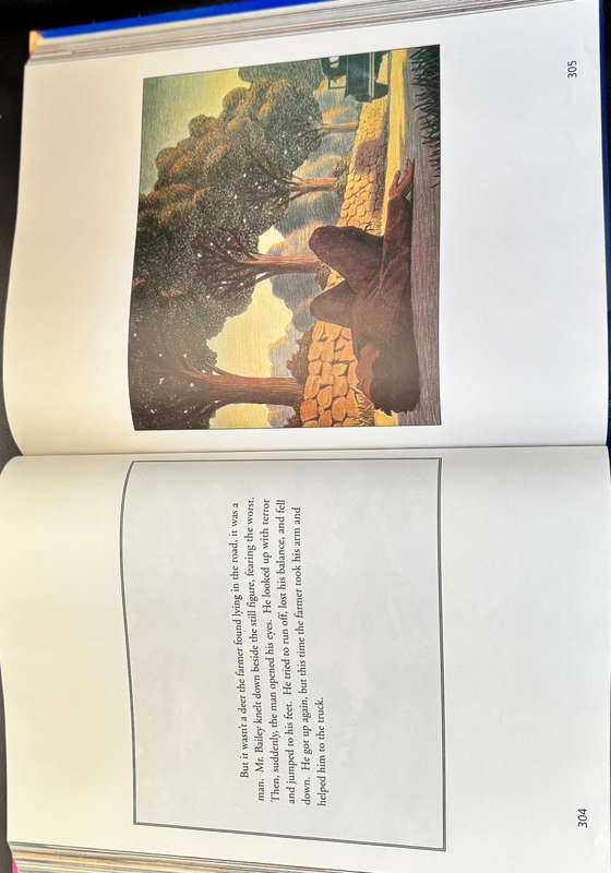 Houghton Mifflin Reading Traditions A Legacy of Literacy 720 Pages