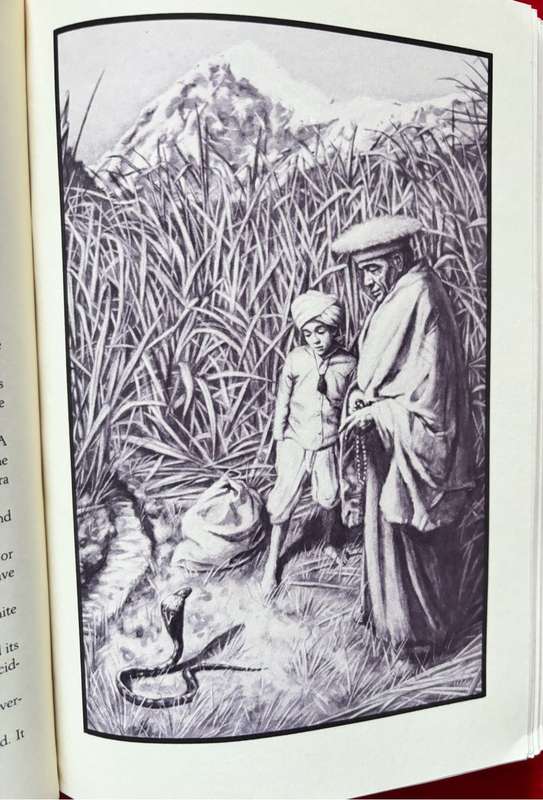 Rare Collectable Book Kim by Rudyard Kipling 1994 Hardcover