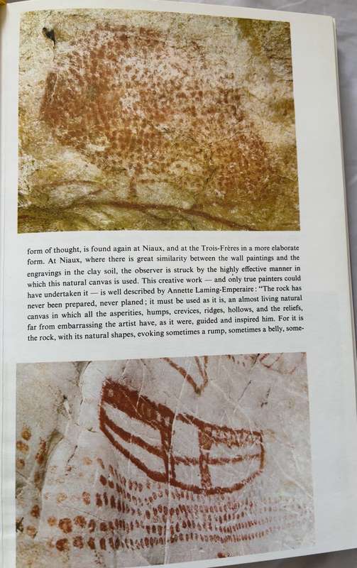 Rare Prehistoric Painting Collectable Ancient Maps