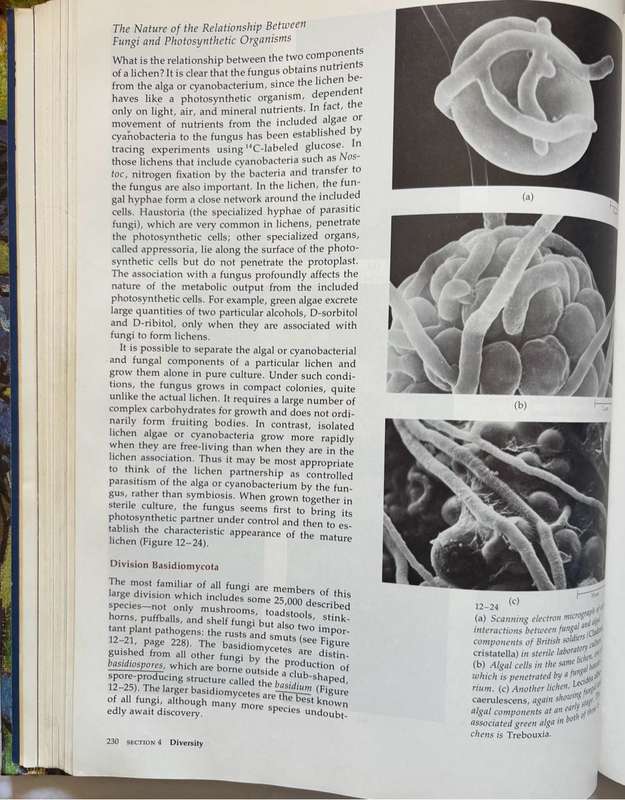 Biology of Plants 3rd Edition Peter H Raven, Ray F Evert