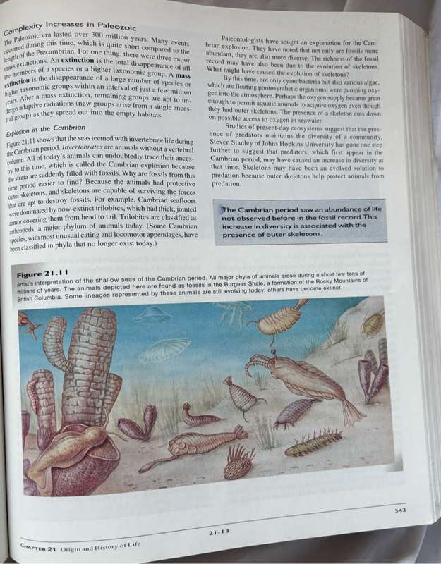 Biology 5th Edition Sylvia S Mader