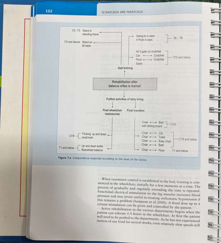 Tetraplegia and Paraplegia Guide for PHYSIOTHERAPISTS 6th Edition Ida Bromley