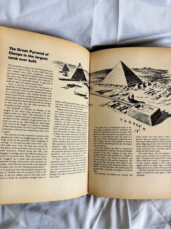 Incredible but True! Kevin McFarland 1978