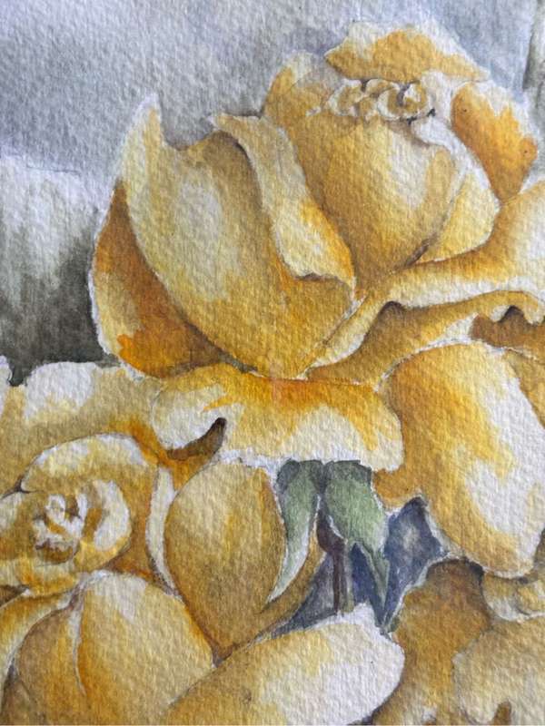 Painting Ann Viljoen Yellow Roses watercolour 53cm x 43cm with Frame