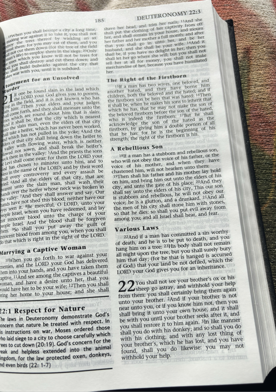 Study Bible KJV 2000 Devotional