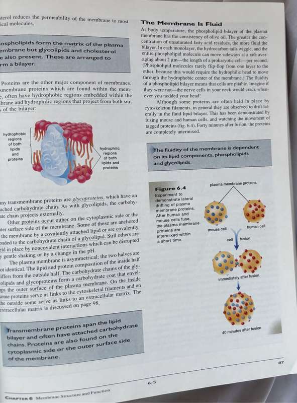 Biology 5th Edition Sylvia S Mader