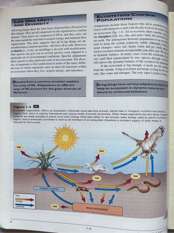 Biology 5th Edition Sylvia S Mader
