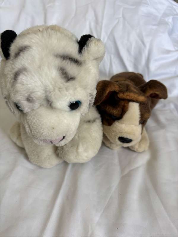 Bingo Puppy Dog Keel + Wild Republic UK Tiger Combo