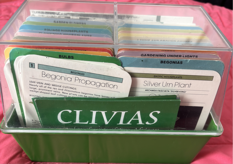 Plant Card Identification in Box
