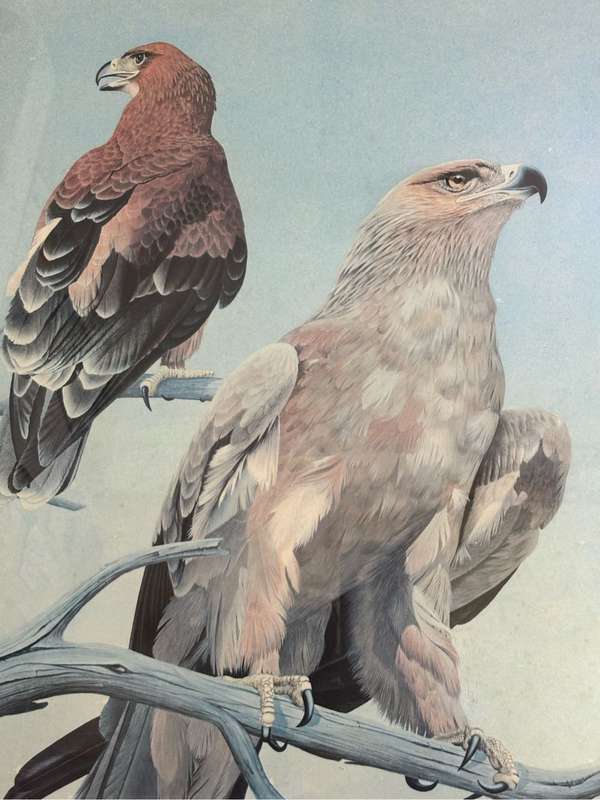 Kenneth Newman Photolithographic Print Two Eagles