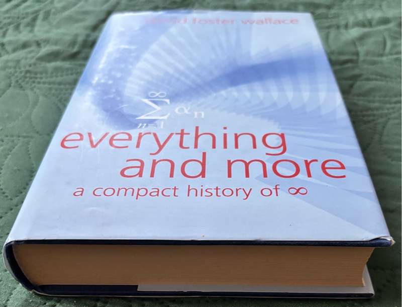 Everything and More David Foster Wallace 1st Edition 2003 Hardcover