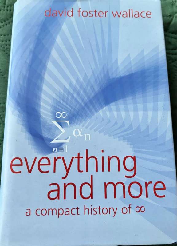 Everything and More David Foster Wallace 1st Edition 2003 Hardcover