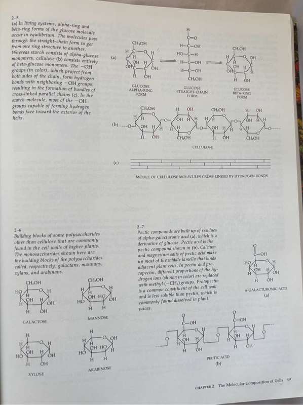 Biology of Plants 3rd Edition Peter H Raven, Ray F Evert