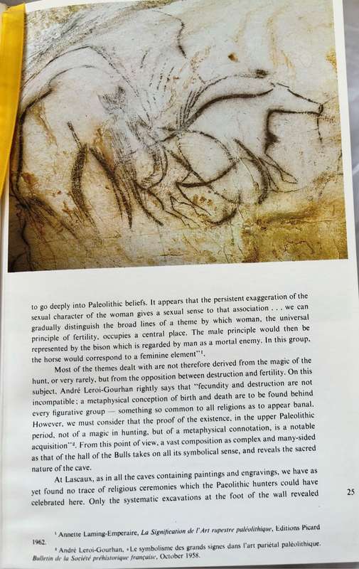 Rare Prehistoric Painting Collectable Ancient Maps
