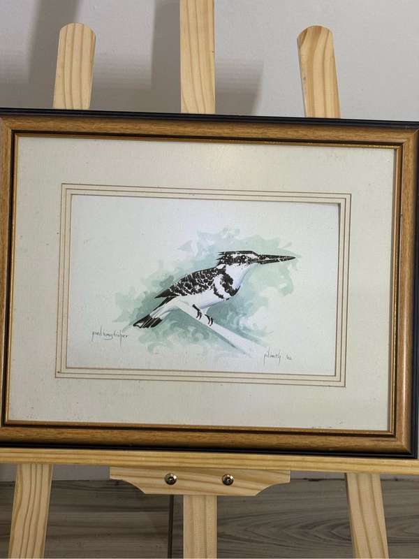 Painting Pied Kingfisher by PD Smith Watercolour