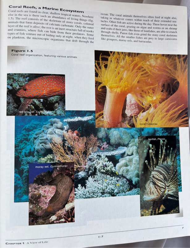 Biology 5th Edition Sylvia S Mader