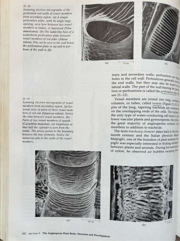 Biology of Plants 3rd Edition Peter H Raven, Ray F Evert