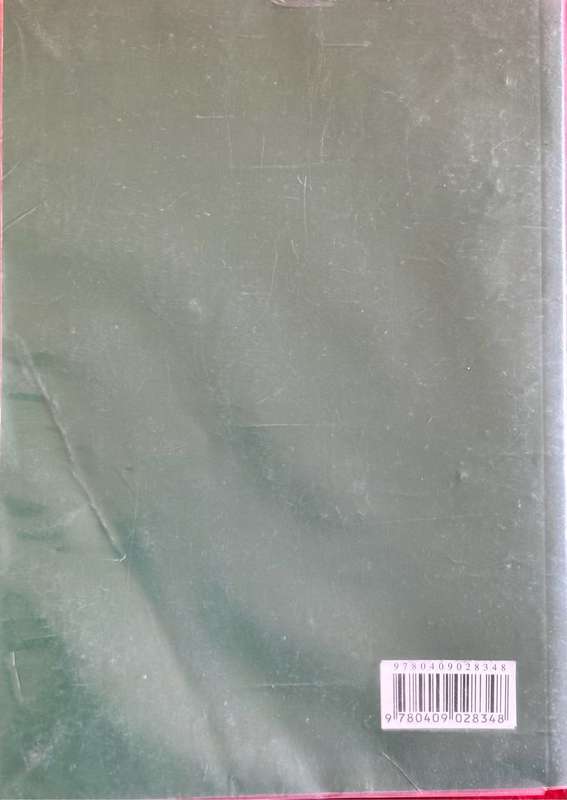 A Practical Guide to Labour Law 6th Edition JV du Plessis, MA Fouche