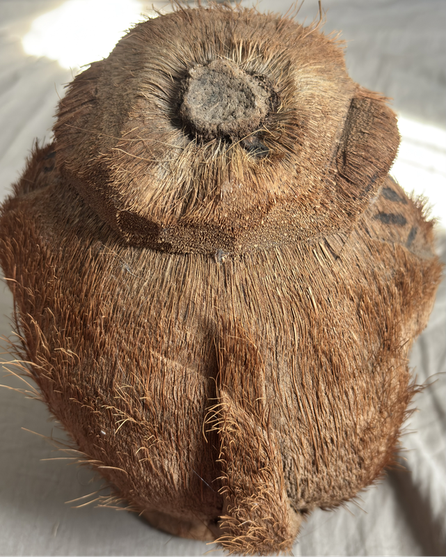 Hand Carved Coconut Monkey  Figurine Statue Ornament 25cm x 24cm