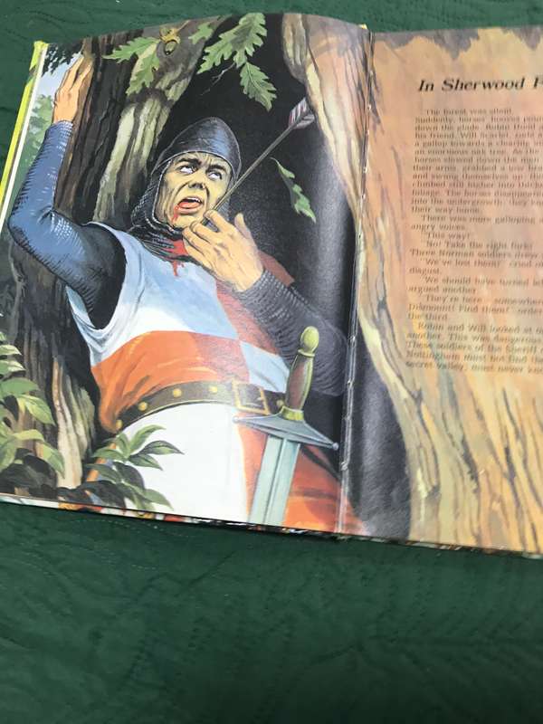Classics in Action ROBIN HOOD by Brimax Books