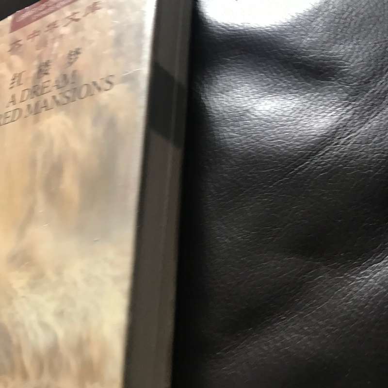 A Dream of the Red Chamber Sealed