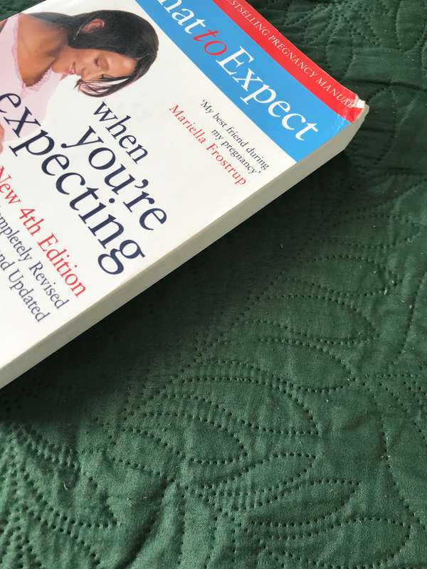 What to Expect When You're Expecting (4th Edition) (Paperback) by Heidi Murkoff