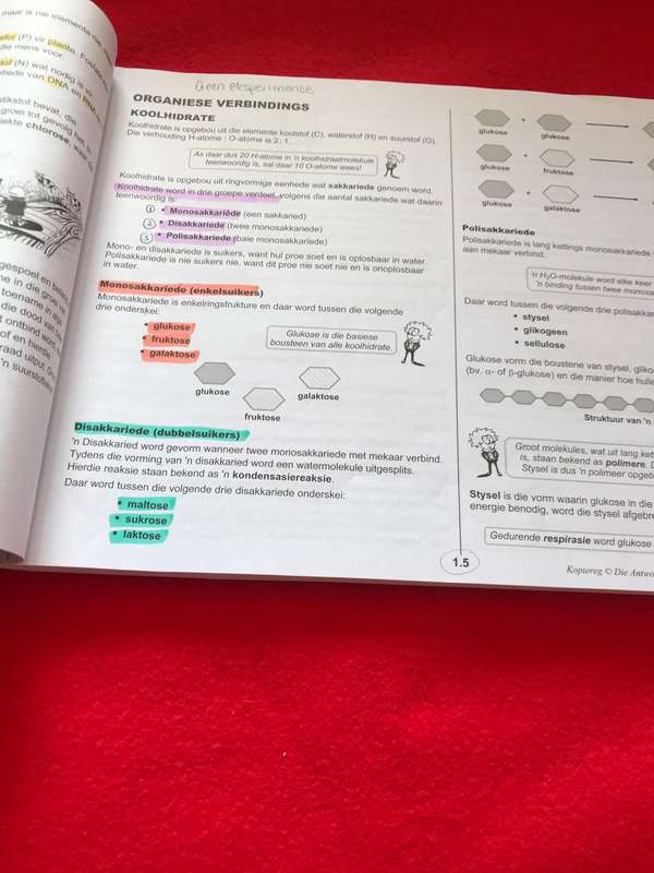 Graad 10: Antwoordreeks Lewenswetenskappe