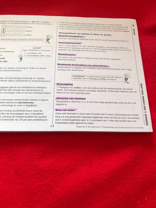 Graad 10: Antwoordreeks Lewenswetenskappe